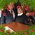 Kathy Blackburn Marcoux's profile image