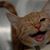 Wendy Geer's profile image