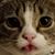 Kim Jones's profile image
