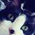 Heather Guminski Wilson's profile image