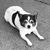 Rhonda Ruiz's profile image