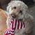 Teresa Jamiol-Carlson's profile image