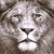 Ellen Asbell's profile image