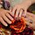 Holly Willis Wallis's profile image