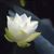Barbi Jo Gresko's profile image