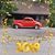Sandy Beyser Miller's profile image