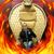 Bob Taylor's profile image