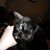 Lisa Bricker's profile image