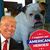Herb Rosco's profile image