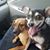 Karen Maerz's profile image