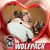 Jody Bost Mease's profile image