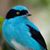 Brad McClinton's profile image