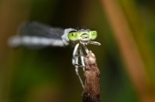 uniphi's profile image