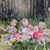 Dana Goodwin Desrochers's profile image
