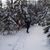 Lisa Sharp Roggeman's profile image