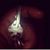 Kay Banks's profile image