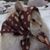Stacie Bilby's profile image