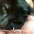 Savannah Dostie-Buotte's profile image
