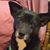 Rhonda Finneyfrock Preston's profile image