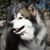 Kelly Schmid's profile image