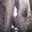 Ian Parnes's profile image