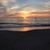 Debby Alberini Conley's profile image