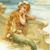 Jill Shaw's profile image