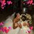 Carole Moyer Jernigan's profile image