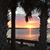 Joan Haupt Roberts's profile image