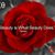 Lynn C. Smith's profile image