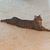 Lori Burnsworth's profile image
