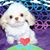 Davis Pine's profile image