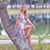 Nicolle Wax's profile image