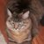 Rita Crall's profile image