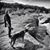 Margot Vanoni's profile image