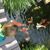 Nancy Bryan's profile image