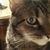 Leslie Conklin's profile image