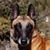 Susan McSherry's profile image