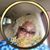 Dee Papparazzi Strickland's profile image