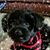 Pam Wise Nelson's profile image
