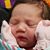 Lisa Williams Ziler's profile image