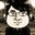 Tim Blair's profile image