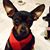 Isabel Gutierrez's profile image