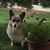 Gail Walker's profile image