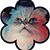 Elisa Haddock's profile image