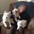Tina McGrath's profile image