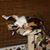 Cyndi Eugenio's profile image
