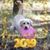 Diane Johnson's profile image