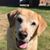 Heather Mellinger's profile image