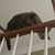 Brenda Shirk Lydon's profile image